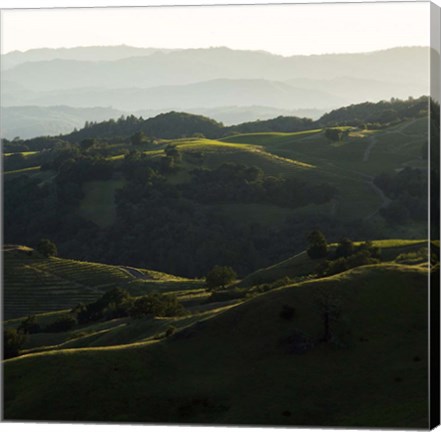 Framed Vineyard Hills Print