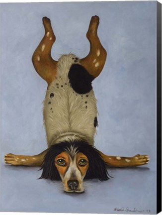 Framed K9 Contornionist Print