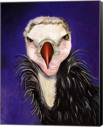 Framed Baby Vulture Print