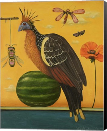 Framed Hoatzin 2 Print