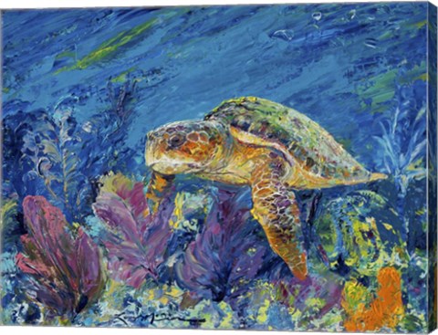 Framed Loggerhead Turtle Print