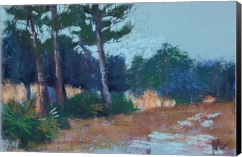 Framed Lean to the Left, Julington Durbin Preserve Series Print