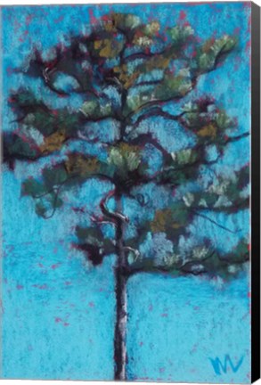 Framed Tall Pine, Blue Sky, Julington Durbin Preserve Series Print