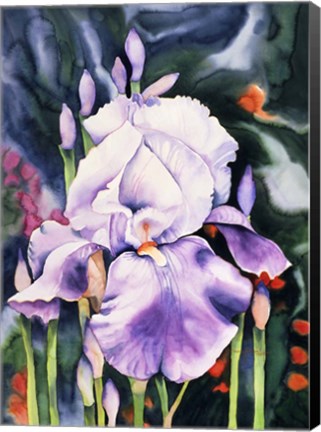 Framed Dancing Iris Print