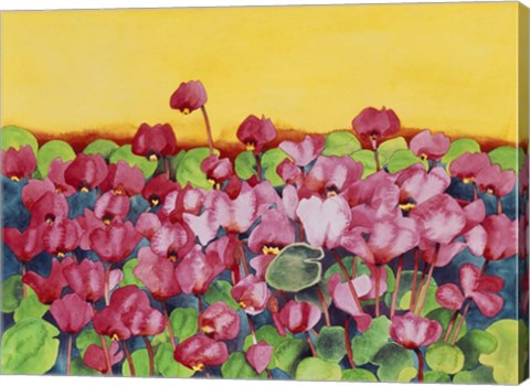 Framed Pink Cyclamen Print