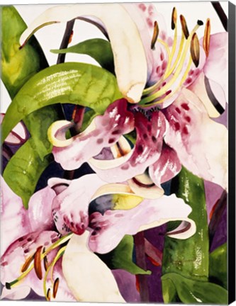 Framed Luminous Lilies Print