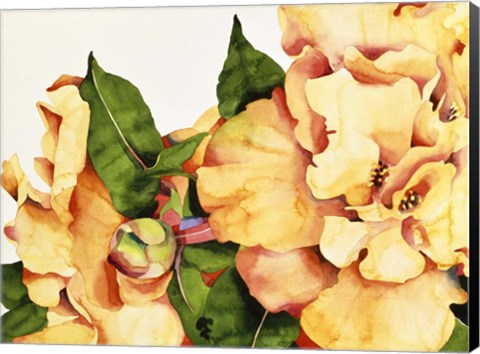 Framed Orange Blossom Print