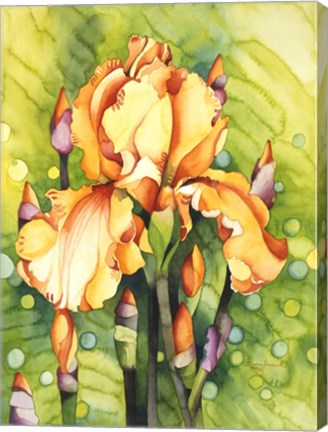 Framed Yellow Iris Print