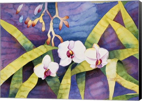 Framed Water Orchids Print