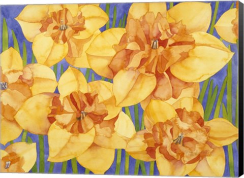 Framed Yellow Daffodils Print