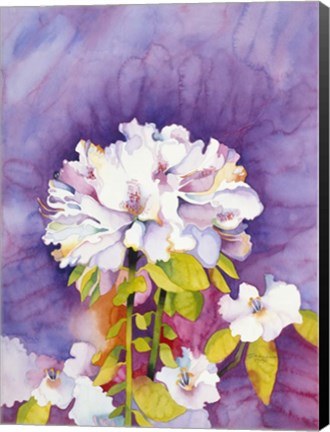 Framed Moonflower Print