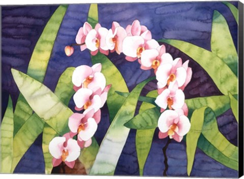 Framed Sacred Orchids Print