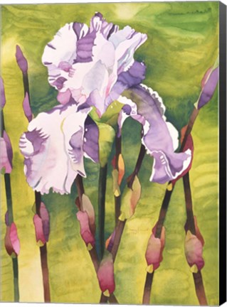 Framed Forest Iris Print