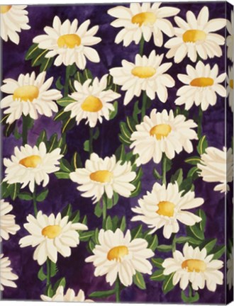 Framed Shasta Daisies Print