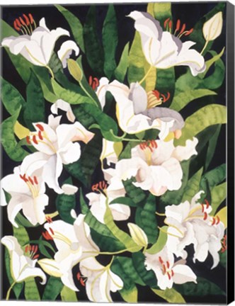 Framed White Lilies Print