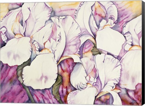 Framed 5 Iris Print