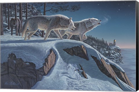 Framed Moonlight Prowlers Print