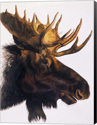 Framed Bullwinkle Print