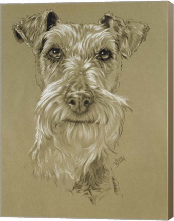 Framed Irish Terrier Print