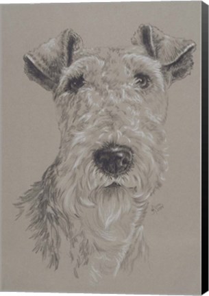 Framed Wire Fox Terrier Print