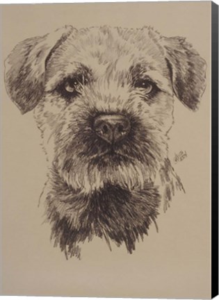 Framed Border Terrier Print