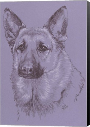Framed German Shepherd 1 Print