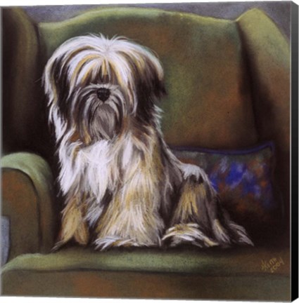 Framed Tibetan Terrier Print