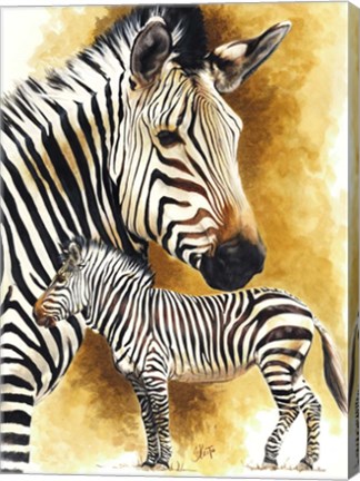 Framed Mountain Zebra Print