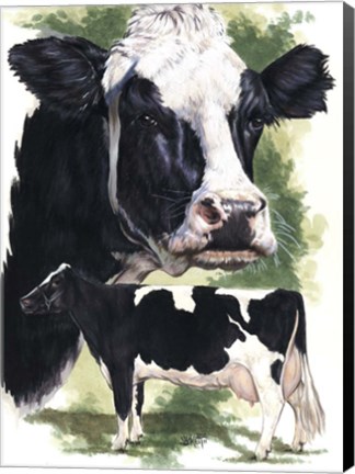 Framed Holstein Cow Print