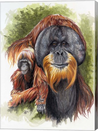 Framed Orangutan Soul Print