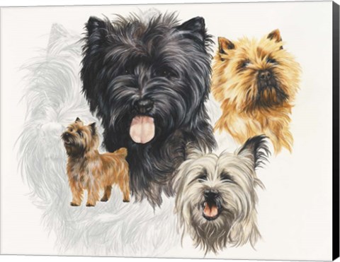 Framed Cairn Terrier Print