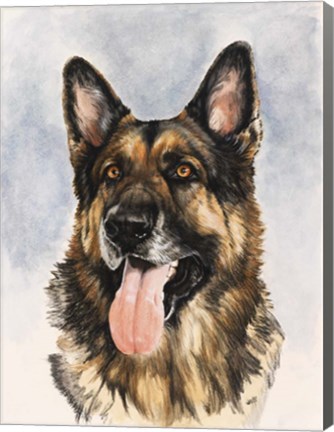 Framed German Shepherd Print