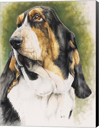 Framed Basset Hound Print