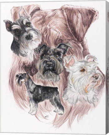 Framed Miniature Schnauzer Print