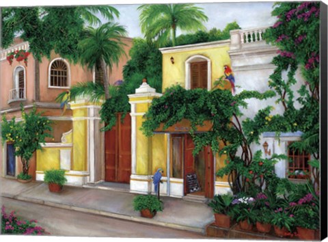 Framed Hacienda Parrots Print