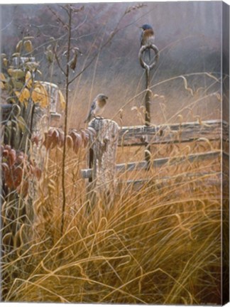 Framed Autumn Mist Print