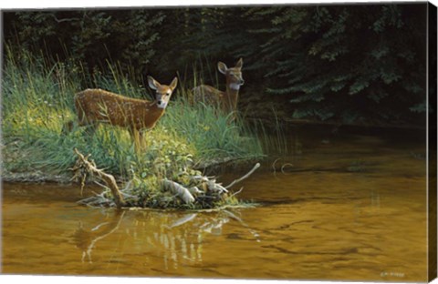 Framed Fawn Brook Print
