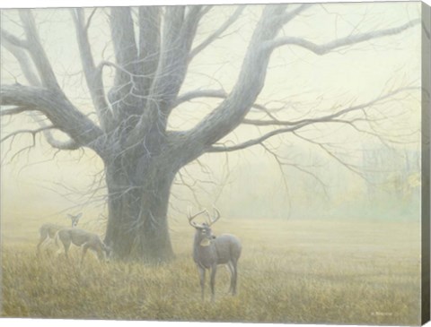Framed Winter Mist Print