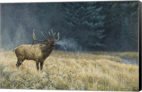 Framed Autumn Monarch Print