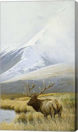 Framed Autumn Uprights, Elk Print