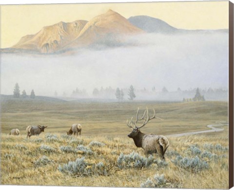 Framed Autumn Elk Print