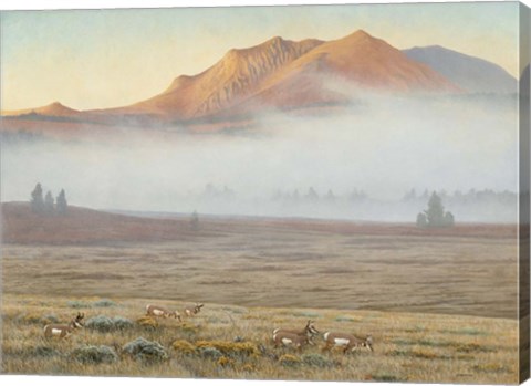 Framed Mackenzie Passage Print