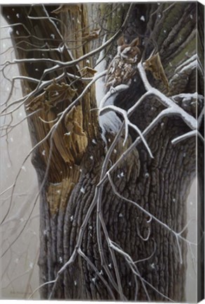 Framed Winter Branches Print