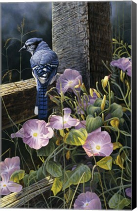 Framed Morning Glories Print