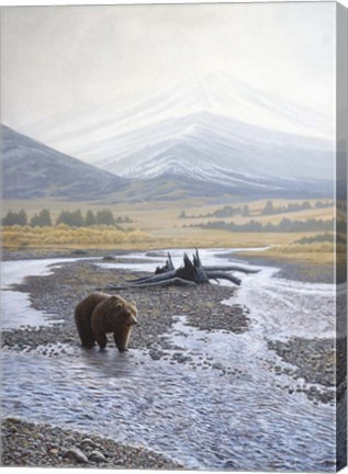 Framed Wilderness Walk Print