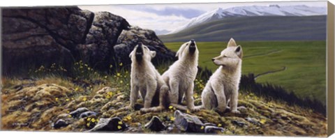 Framed Three Wolves Print