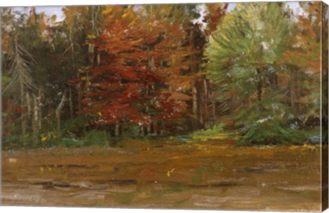 Framed Autumn Print