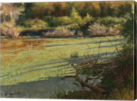 Framed Pond Shadows Print