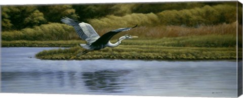 Framed Back Water Fisherman Print