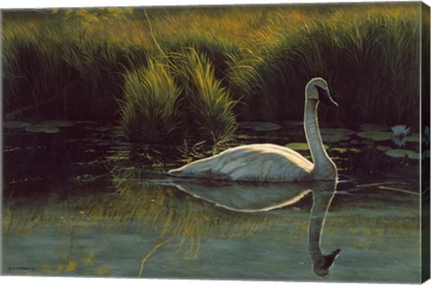 Framed Reflections Of Grace Print